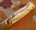 panteraS390klon9.JPG