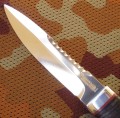 spas2_95x18_pozl3.JPG