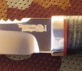 spas2_95x18_pozl4.JPG