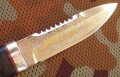 spas2_95x18_pozl5.JPG