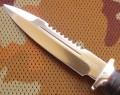 spas6_95x18pozl3.JPG