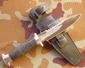 spas6_95x18pozl9.JPG