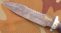 spas6_dmst_pozl3.JPG