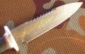 spas6_dmst_pozl5.JPG