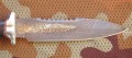 spas6_dmst_pozl6.JPG