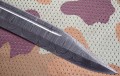 jatdmst6.JPG