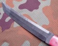 dm_tanto_camel_red3.JPG