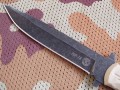 NR18coyote_black3.JPG