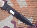 NR18coyote_black4.JPG