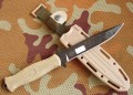 NR18coyote_black8.JPG
