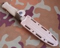 NR18coyote_black9.JPG