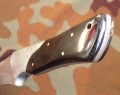 shark9.JPG