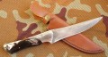 shark10.JPG