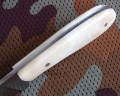 badger7.JPG
