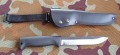 M95_skora1.JPG
