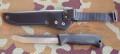 M95_skora2.JPG