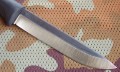 M95_skora4.JPG