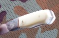 seagull8.JPG