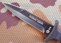 dagger31825_3.JPG