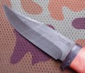 dombaj_dmst_stab_red3.JPG