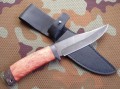 dombaj_dmst_stab_red8.JPG