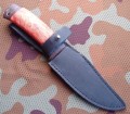 dombaj_dmst_stab_red9.JPG