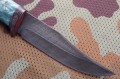 dombaj_dmst_stab_blue4.JPG