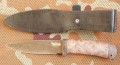 fox1_dmst_stab_brown2.JPG
