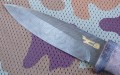 fox1_dmst_stab_brown3.JPG