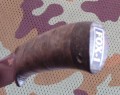 fox1_dmst_stab_brown8.JPG