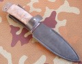 fox1_dmst_stab_brown10.JPG