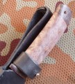 fox1_dmst_stab_brown11.JPG