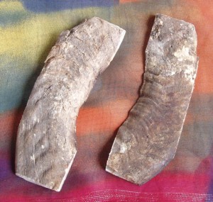 Róg barana 2