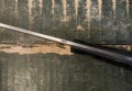 towariszcz_elmax_carbon3.jpg
