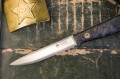 towariszcz_elmax_carbon4.jpg