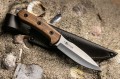 CorsairAUS8_2.jpg