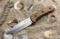 CorsairAUS8_3.jpg