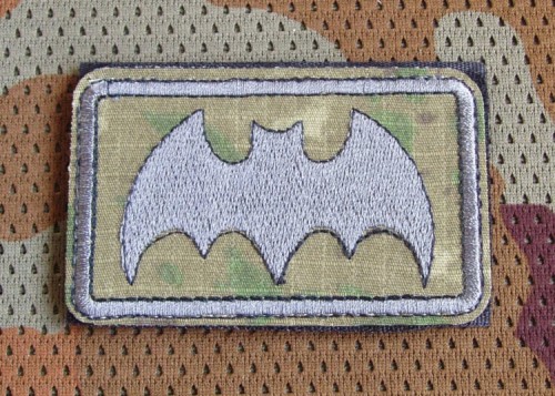 batGRUcamo1.JPG