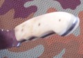 nessmuk_dmst8.JPG