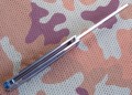 tokisu02174_7.JPG