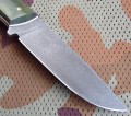brygadier4.JPG