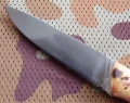 zbikred3.webp