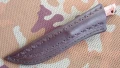 zbikred11.webp