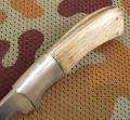 badger2_5.webp