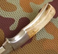 badger2_6.webp