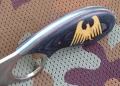 eagle8.webp