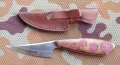 gepard2_2.webp