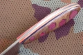 gepard2_7.webp