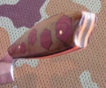 gepard2_8.webp