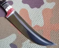 40x13archar_sadaf4.webp